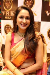 Pragya Jaiswal in Pattu Saree