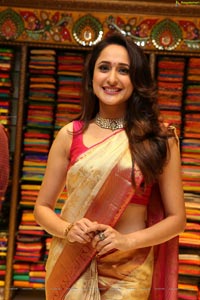 Pragya Jaiswal in Pattu Saree