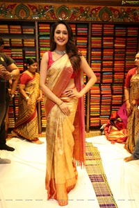 Pragya Jaiswal in Pattu Saree