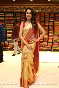 Pragya Jaiswal in Pattu Saree