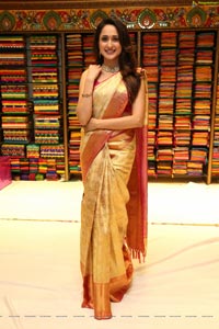 Pragya Jaiswal in Pattu Saree