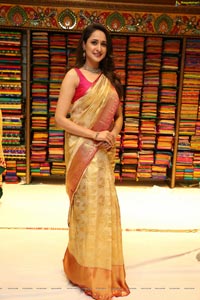 Pragya Jaiswal in Pattu Saree
