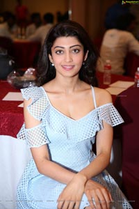 Pranitha Subhash Mass Leader