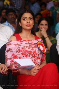 Shriya Saran High Definition