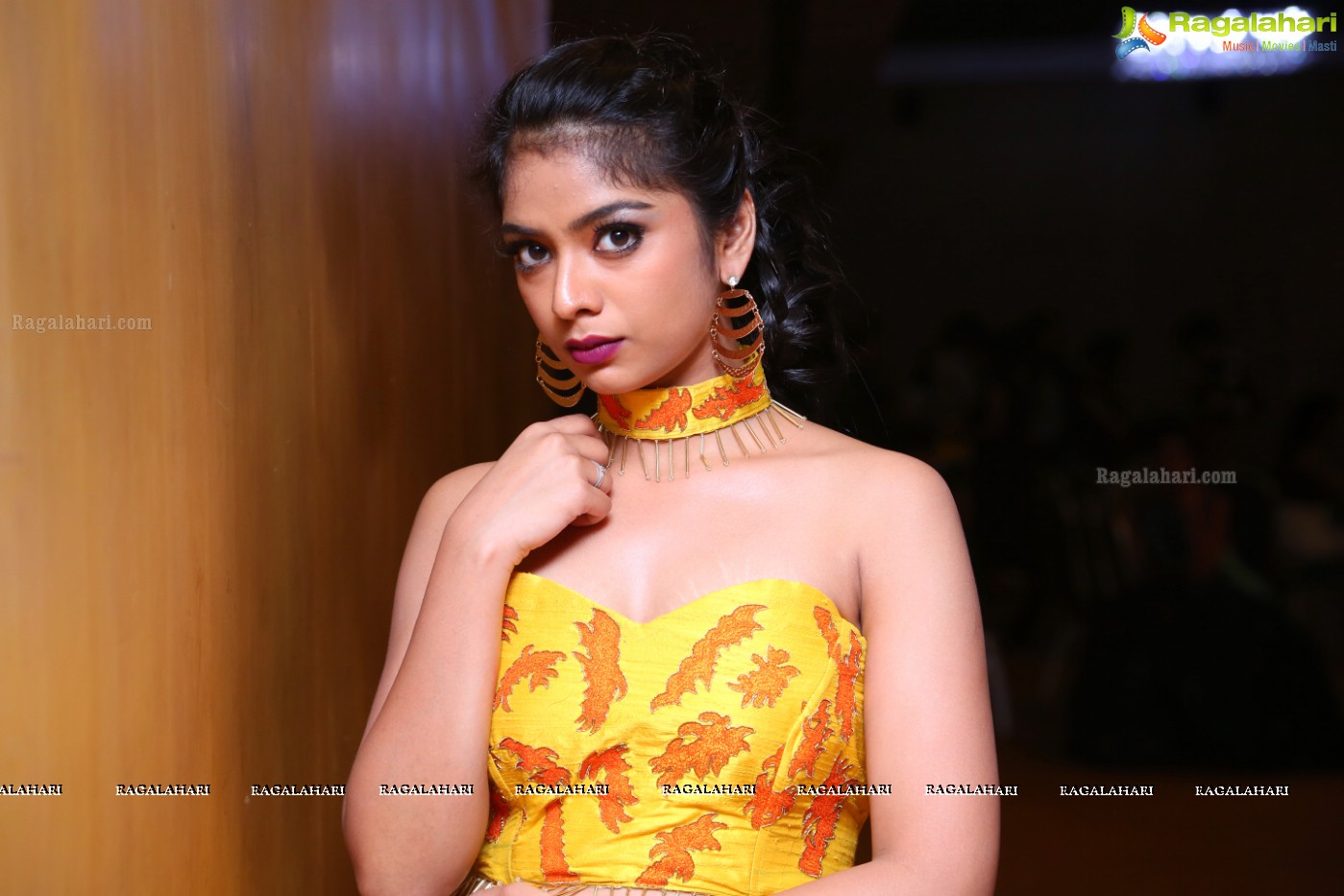 Shrita Rao at IDI Annual Fashion Show (Posters)