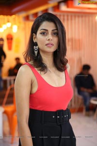 Anisha Ambrose Vanjgar Ulagam