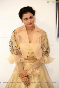 Payal Rajput Ragalahari