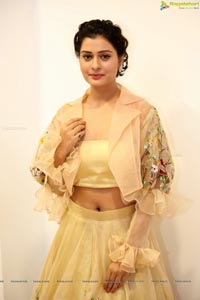 Payal Rajput Ragalahari