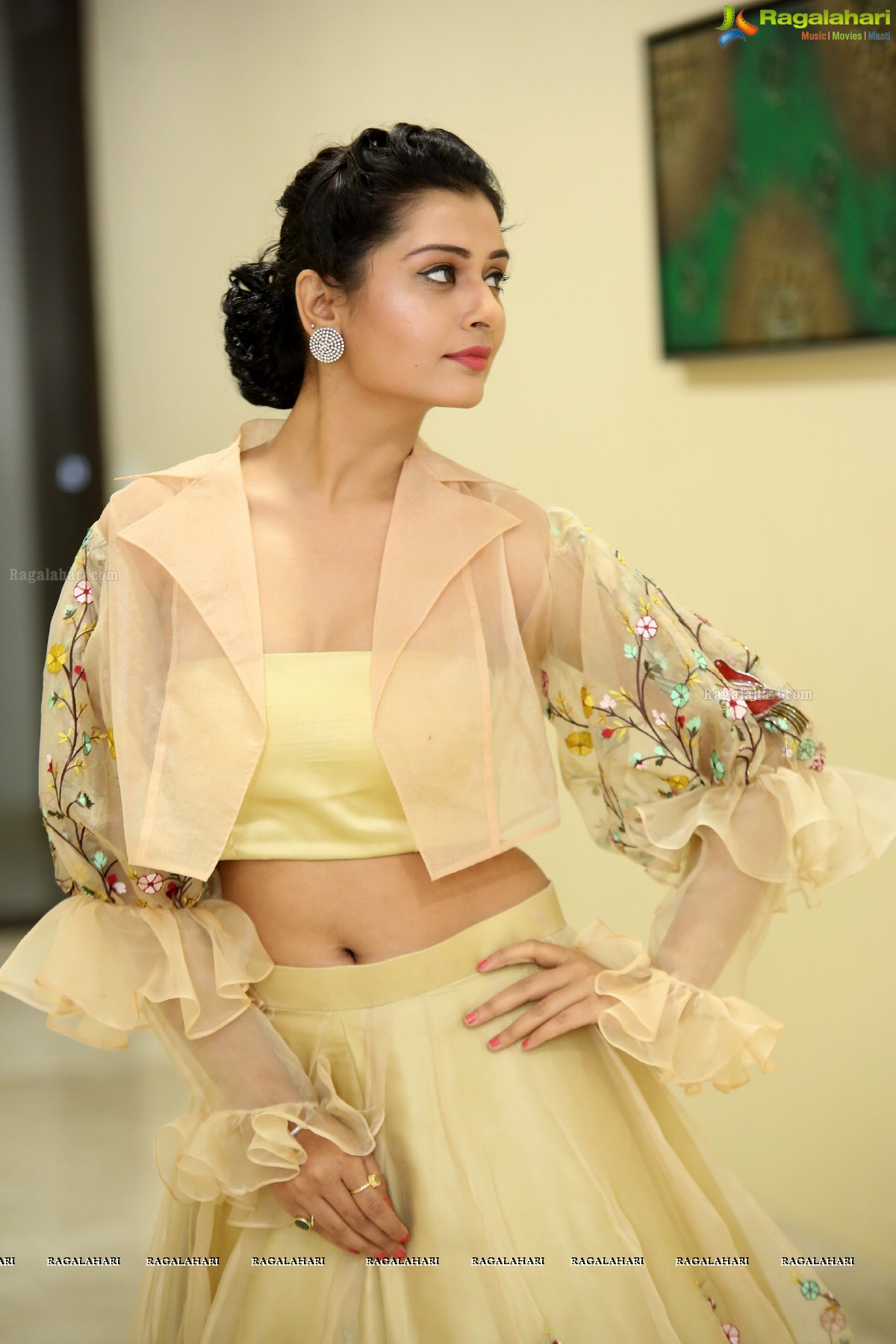 Payal Rajput at RX 100 Audio Release