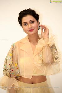 Payal Rajput Ragalahari