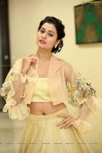 Payal Rajput Ragalahari