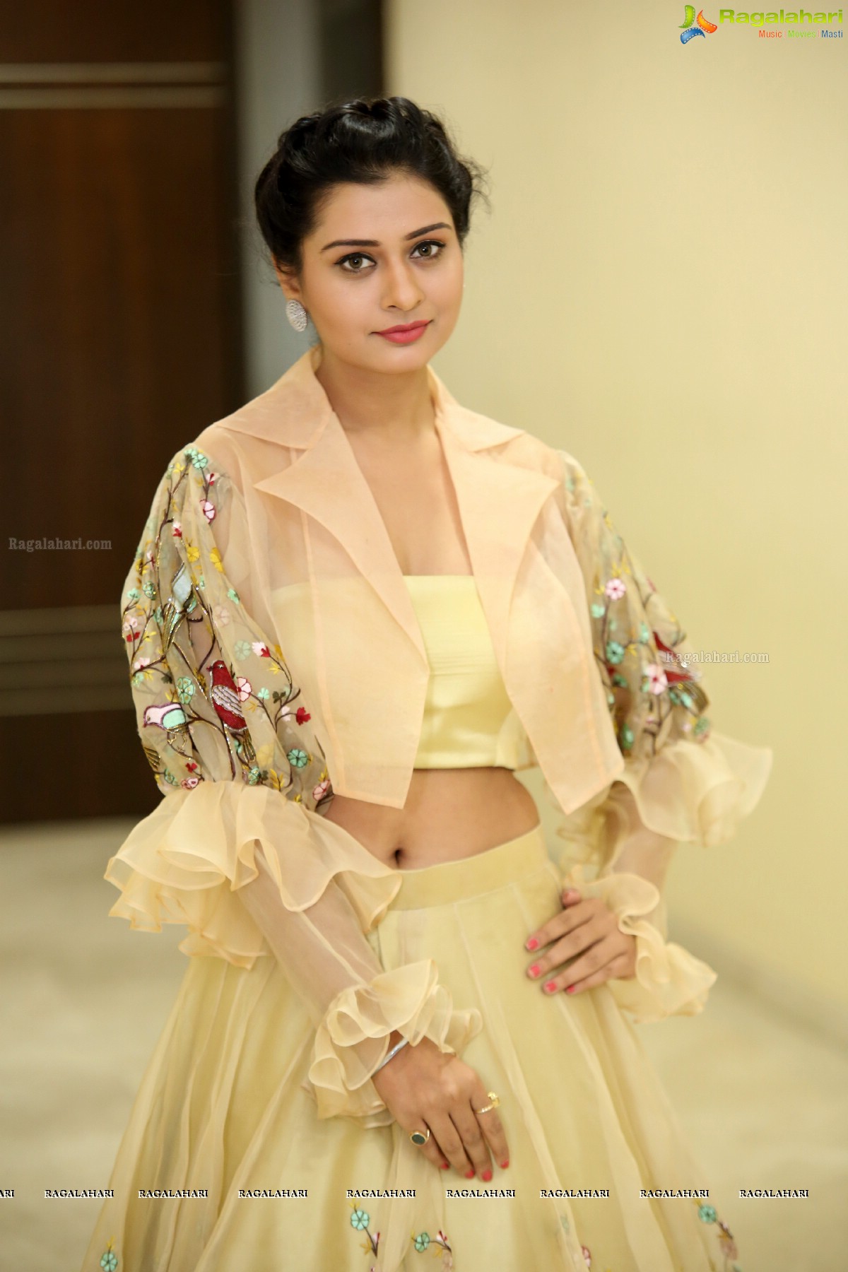 Payal Rajput at RX 100 Audio Release