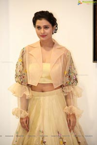 Payal Rajput Ragalahari