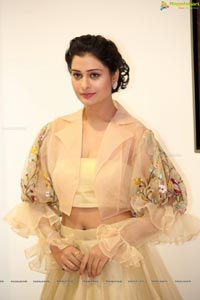 Payal Rajput Ragalahari