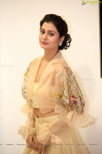 Payal Rajput Ragalahari