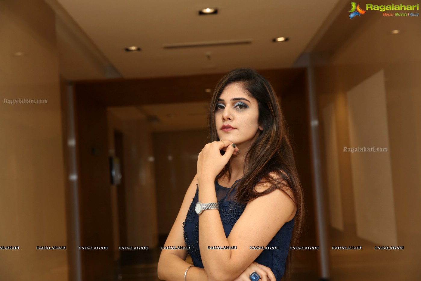 Kritya Sudha Karda (Posters) at Sutraa Exhibition Curtain Raiser, Hyderabad