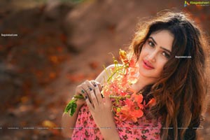 Sony Charishta Latest Photoshoot Stills