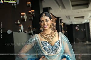 Kamakshi Bhaskarla Poses With Jewellery