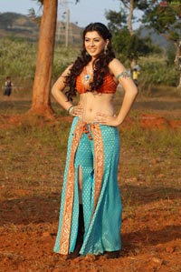 Hansika Motwani Sky Blue Saree