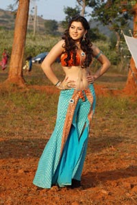 Hansika Motwani Sky Blue Saree