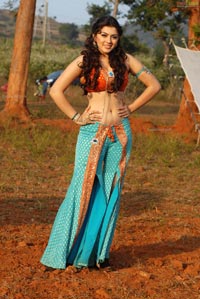 Hansika Motwani Sky Blue Saree