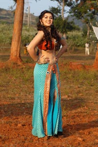 Hansika Motwani Sky Blue Saree