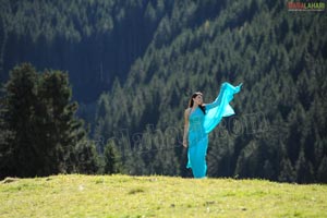 Hansika Motwani Sky Blue Saree