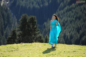 Hansika Motwani Sky Blue Saree