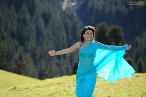 Hansika Motwani Sky Blue Saree