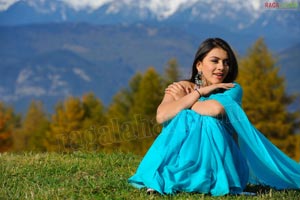 Hansika Motwani Sky Blue Saree