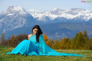 Hansika Motwani Sky Blue Saree