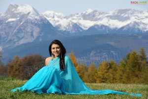 Hansika Motwani Sky Blue Saree