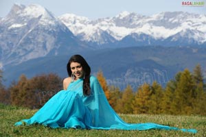 Hansika Motwani Sky Blue Saree