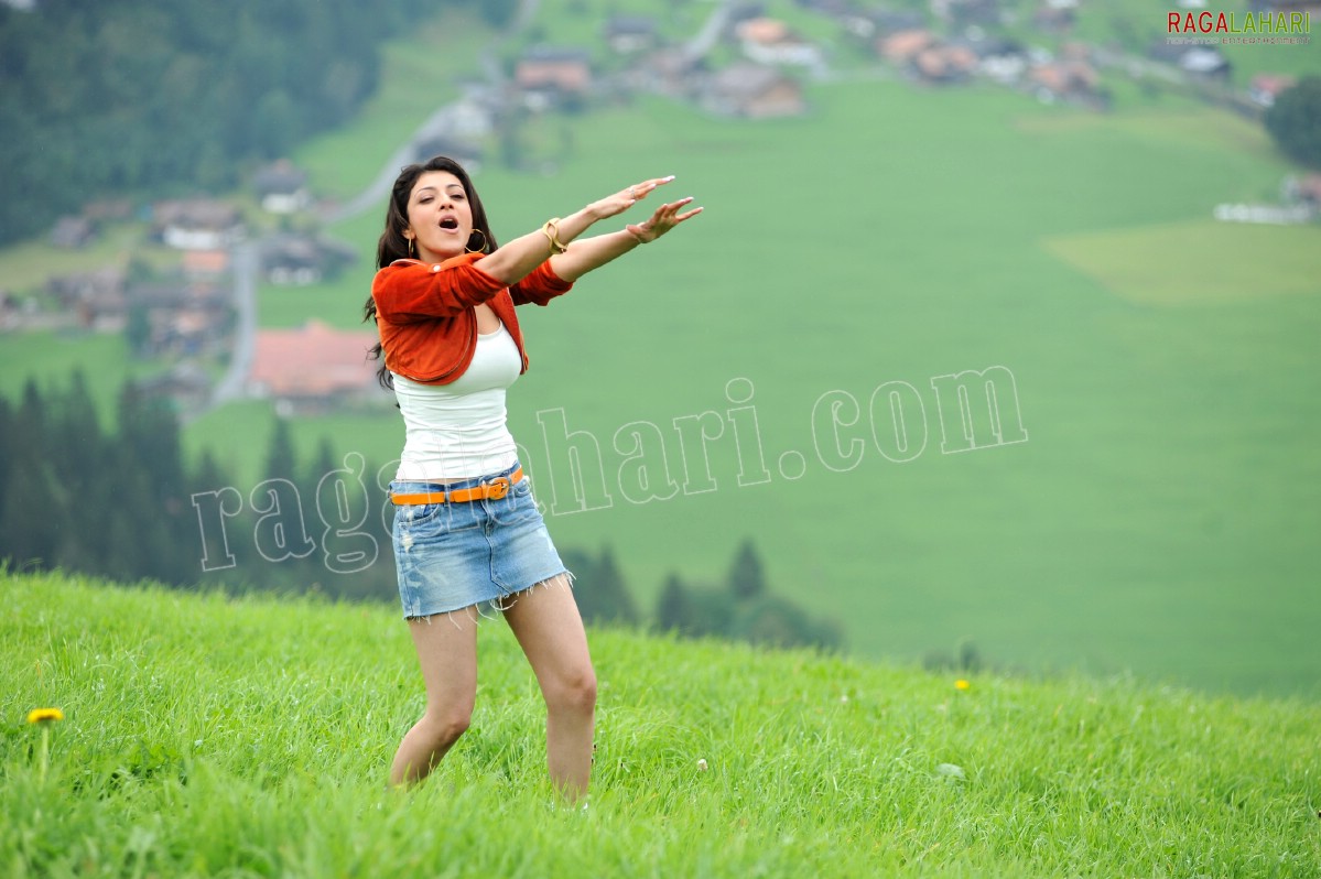 Kajal Aggarwal Stills from Brindavanam, HD Gallery, Images from Brindavanam