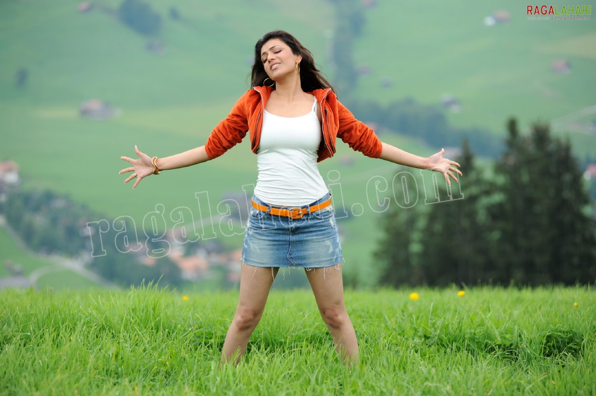 Kajal Aggarwal Stills from Brindavanam, HD Gallery, Images from Brindavanam