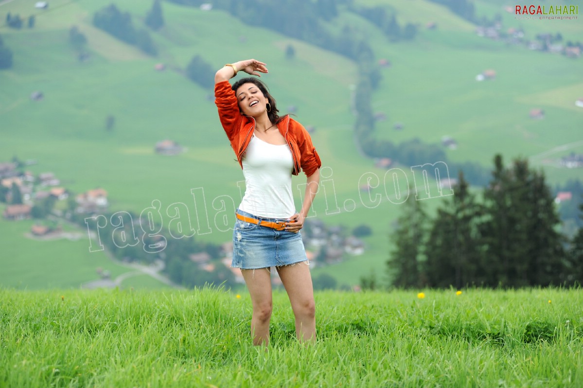 Kajal Aggarwal Stills from Brindavanam, HD Gallery, Images from Brindavanam