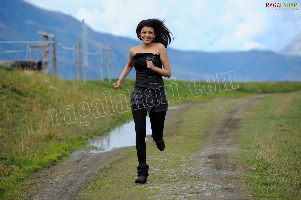 Kajal Aggarwal, HD Gallery, Images from Brindavanam