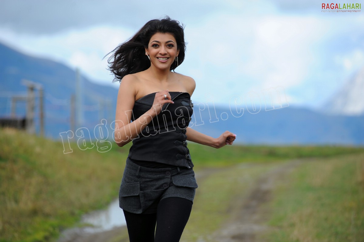 Kajal Aggarwal, HD Gallery, Images from Brindavanam