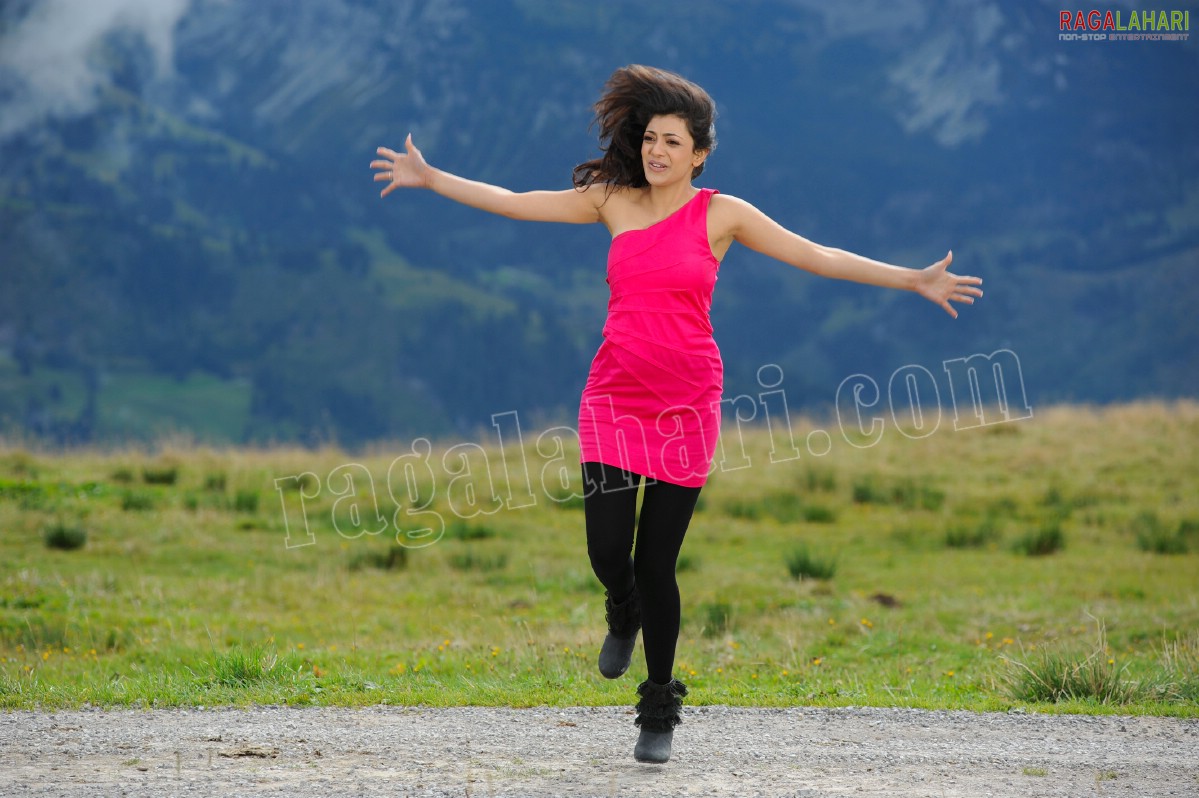 Kajal Aggarwal in Nijamena Nijamena Song from Brindaavanam - HD Gallery, Images