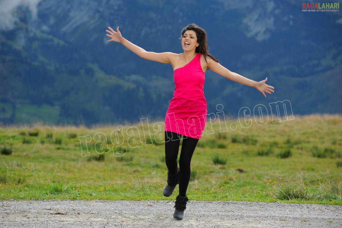 Kajal Aggarwal in Nijamena Nijamena Song from Brindaavanam - HD Gallery, Images