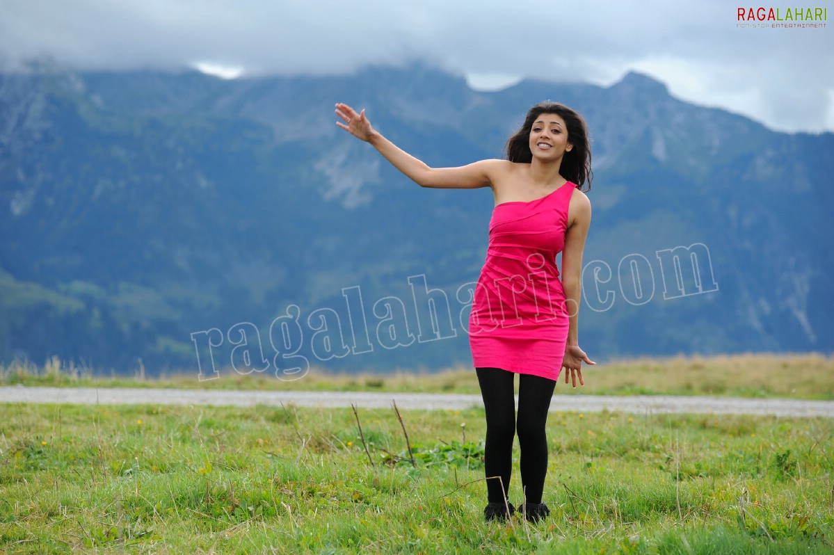 Kajal Aggarwal in Nijamena Nijamena Song from Brindaavanam - HD Gallery, Images