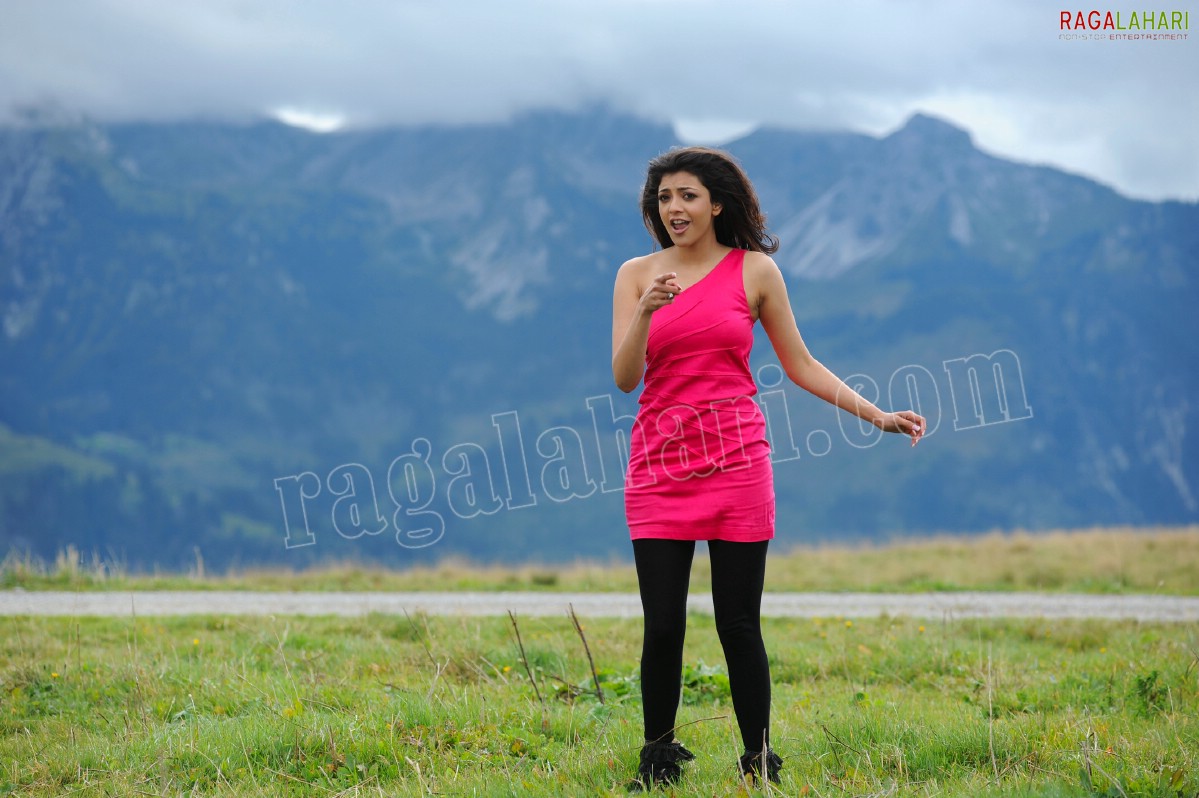 Kajal Aggarwal in Nijamena Nijamena Song from Brindaavanam - HD Gallery, Images