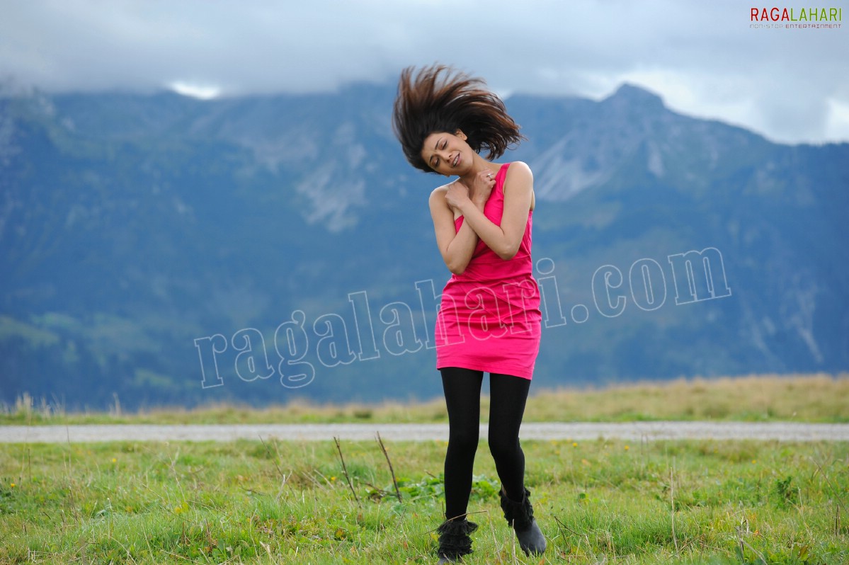 Kajal Aggarwal in Nijamena Nijamena Song from Brindaavanam - HD Gallery, Images