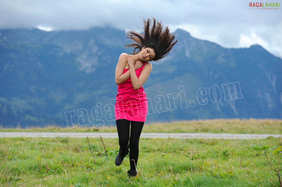 Kajal Aggarwal in Nijamena Nijamena Song from Brindaavanam - HD Gallery, Images