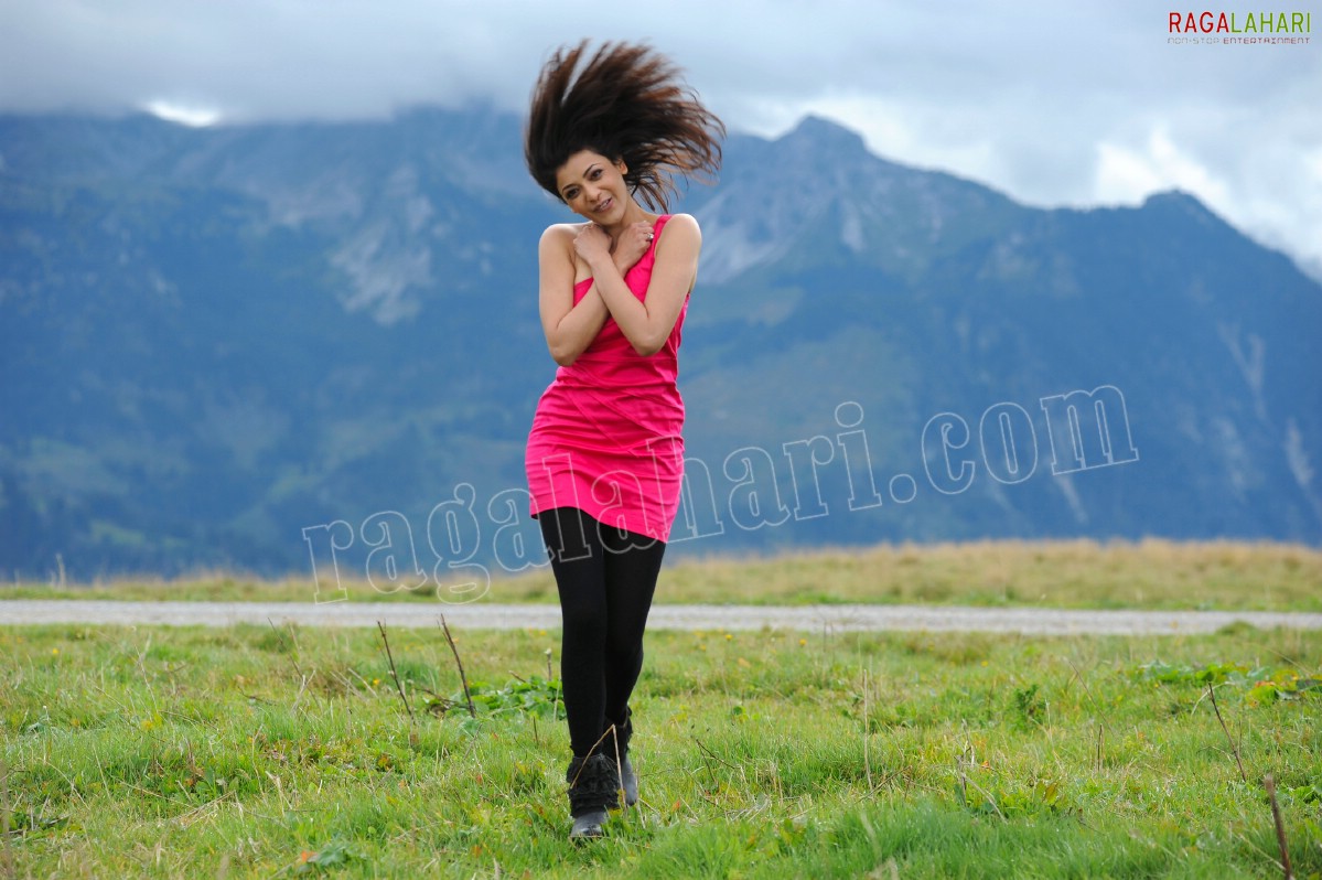 Kajal Aggarwal in Nijamena Nijamena Song from Brindaavanam - HD Gallery, Images