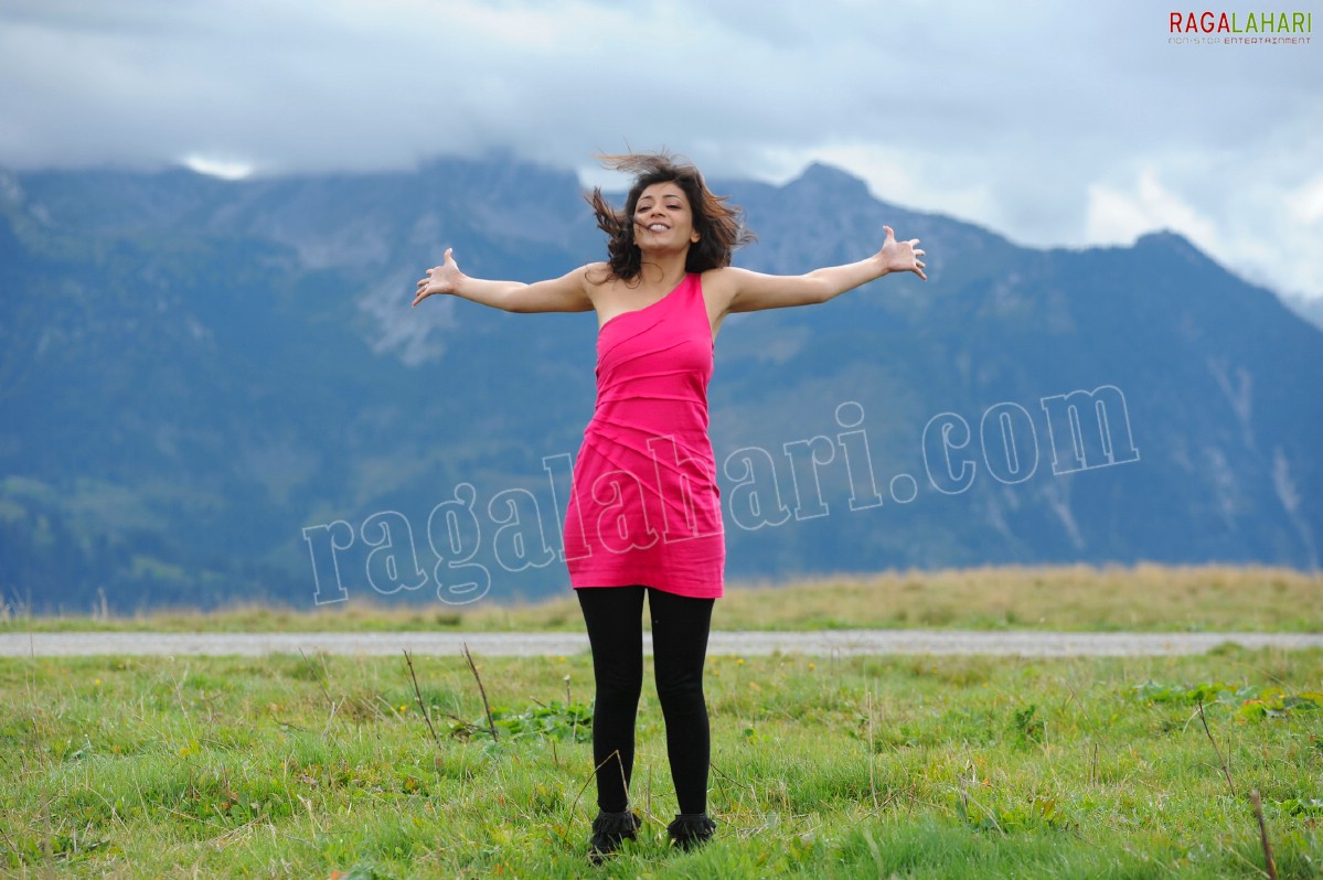 Kajal Aggarwal in Nijamena Nijamena Song from Brindaavanam - HD Gallery, Images