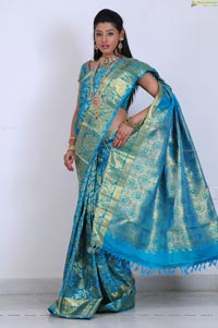 Hot Indian Model in Saree