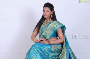 Hot Indian Model in Saree