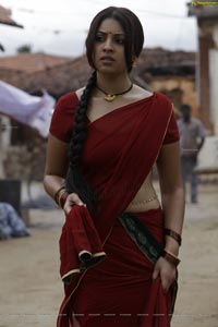 Richa Gangopadhyay in Hot Saree