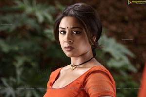 Richa Gangopadhyay in Hot Saree